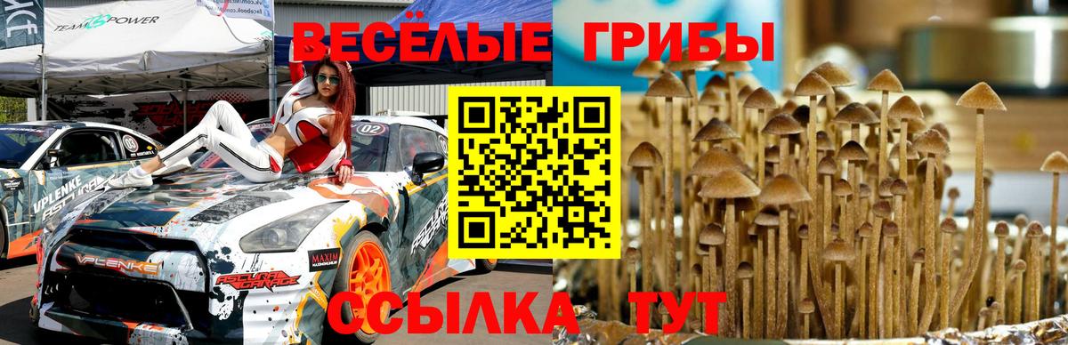Псилоцибиновые грибы GOLDEN TEACHER  Вход с VPN  Галлюциногенные грибы GOLDEN TEACHER  магазин    Златоуст 