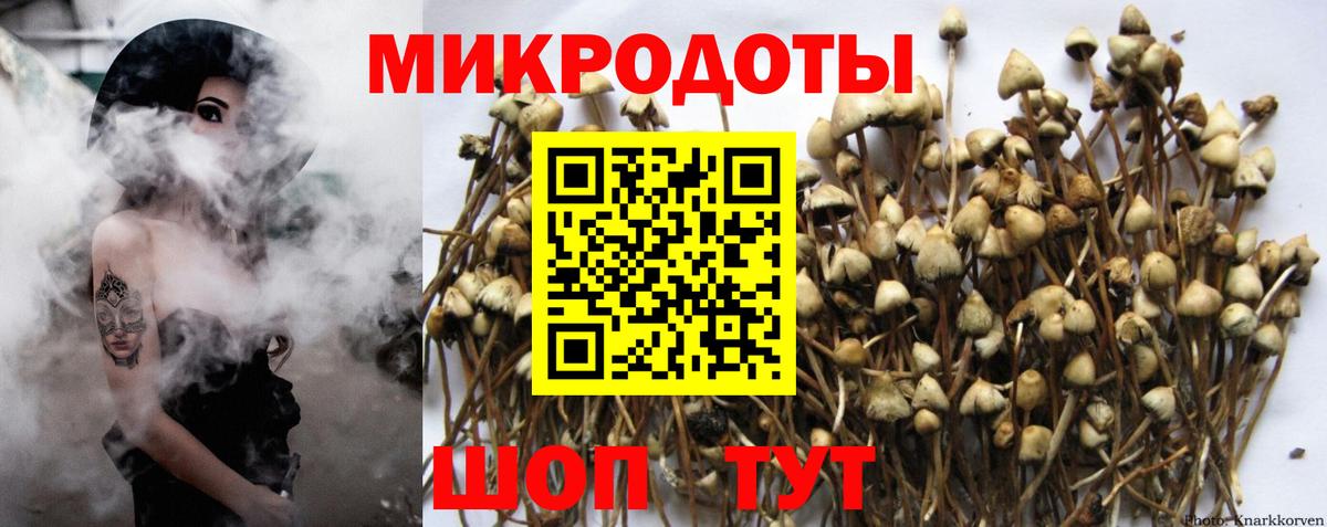 Галлюциногенные грибы мухоморы Златоуст